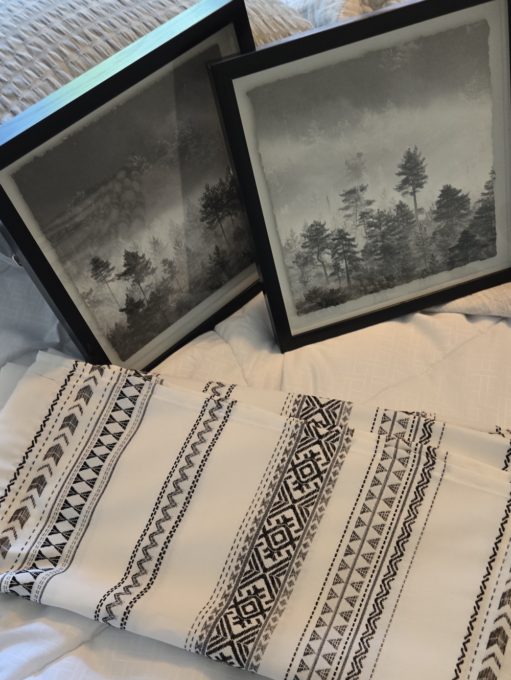 Black & White Geometric Shower Curtain with Framed Blaxk And Whit Nature Prints.